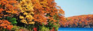 fall-foliage-planner-find-the-best-times-and-places-to-enjoy-the-season